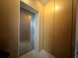 Belle Vue Residences (D9), Condominium #456419221